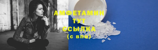 ГАЛЛЮЦИНОГЕННЫЕ ГРИБЫ Алзамай