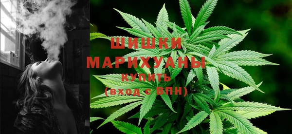 ГАЛЛЮЦИНОГЕННЫЕ ГРИБЫ Алзамай
